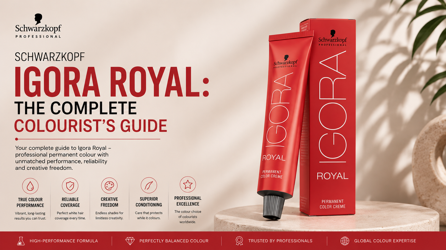 Professional blog banner featuring Schwarzkopf Igora Royal permanent hair colour tube and box on a modern salon-inspired background with elegant styling elements.