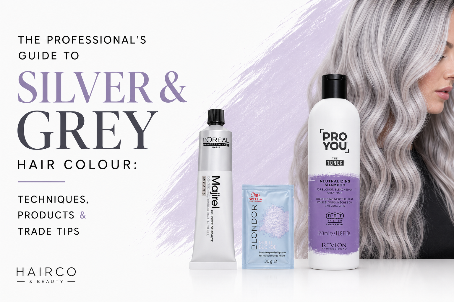 Silver and grey hair colour guide banner featuring Majirel, Blondor and Revlon Pro You Toner products alongside silver-toned hair.