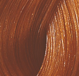 Wella Color Touch 60ml