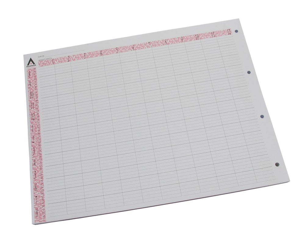 Agenda Loose Leaf Appointment Pages 12 Assistant (100)
