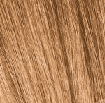 Schwarzkopf Igora Royal Absolutes 60ml