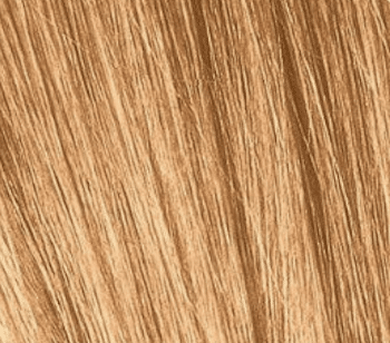 Schwarzkopf Igora Royal Absolutes 60ml