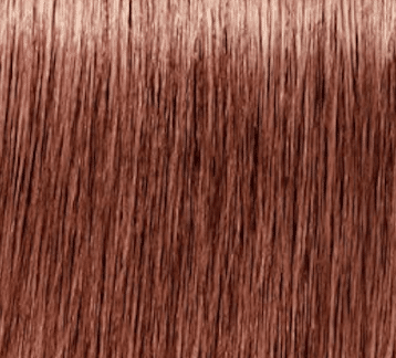 Schwarzkopf Igora Royal Absolutes 60ml