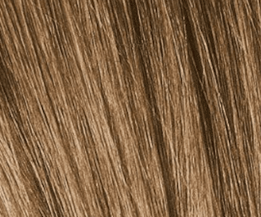 Schwarzkopf Igora Royal Absolutes 60ml