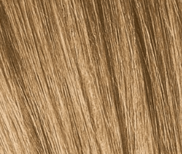 Schwarzkopf Igora Royal Absolutes 60ml