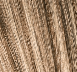 Schwarzkopf Igora Royal 60ml