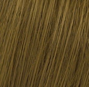 Wella Koleston Perfect Me+ 7/00 natural intense medium blonde hair swatch