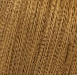 Wella Koleston Perfect Me+ 8/03 Light Natural Gold Blonde hair swatch