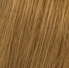 Wella Koleston Perfect Me+ 8/3 Light Gold Blonde hair swatch